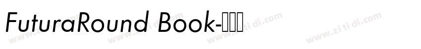 FuturaRound Book字体转换